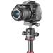 NEEWER 360 Panoramic Tripod Ball Head with Arca-Type Plate - Max Load 17.6lb - for DSLR Camera, Camcorder - Red / Black - Buy Online on GoSupps.com