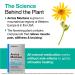 VitaMedica Arnica Montana 30X HPUS 30 Ct | Made in USA | Plant-Based Muscle Pain Relief & Homeopathic Post Surgery Remedies - Buy Online on GoSupps.com