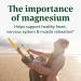 MegaFood Magnesium 300 Capsules - Vegetarian Blend for Heart, Nerve Health & Relaxation - Highly Absorbable Citrate, Malate, Glycinate - Gentle & Effective - 60 ct - Buy Online on GoSupps.com