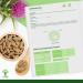 Chardon Marie Bio - Bioptimal - Compl ment Alimentaire - D puratif Naturel D tox Foie Digestion - 100% Pur - Silymarine Silybine - 300 mg/G lule - Fabriqu en France - Certifi Ecocert - 60 g lules 60 unit (Lot de 1) - Buy Online on GoSupps.com