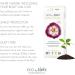 Naty Maternity Pads Extra | 10 Eco-Friendly & Ultra-Absorbent Pads - Buy Online on GoSupps.com