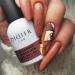 Didier Lab - Premium Gel Nail Polish Macarons - Chocolate - Gel Nail Varnish - Nail Art - Long-Lasting High Gloss Wear - Easy to Apply - Gel Nails - Rich Pigment - UV/LED - Chip Resistant - Buy Online on GoSupps.com