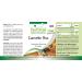 Fairvital | Cinnamon Plus - Bulk Pack for 3 Months - Vegan - HIGH Dosage - 90 Capsules - Cinnamon Extract with Chromium and zinc - Buy Online on GoSupps.com