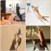 Interactive Door Hanging Cat Toy Assortment - 13PCS Set for Indoor Play | Feather Teaser, Chase & Exercise | Kitten Toys - Buy Online on GoSupps.com