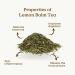 Lemon Balm Tea Organic 100g (50 Cups) | Organic Lemon Balm Leaves Clean and Dried REPLANTEA - Buy Online on GoSupps.com