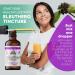 Organic Eleuthero Tincture - Siberian Ginseng Extract | FLORIDA HERBS - Buy Online on GoSupps.com
