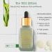 Clear Skin Anti-Breakout Tea Tree Serum with Vitamin C & Salicylic Acid - Blemish-Free Youthful Skin | 1.02 Fl. Oz - Buy Online on GoSupps.com