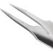Tweezerman Ingrown Hair Splintertweeze - Precision Stainless Steel Tool - Buy Online on GoSupps.com