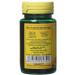 Veganicity Lecithin 550mg Mood and Memory Supplement - 2 x Packs of 60 Capsules (120 Capsules) - Buy Online on GoSupps.com