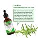 Rosemary Oil for Hair Growth - 100% Pure Natural Essential Oil (2 Pack) | Nourishes Scalp & Stimulates Hair Growth for All Hair Types | 60ml Each - Buy Online on GoSupps.com