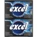 EXCEL Strong Mint Flavoured Sugar Free Chewing Gum 12 Pieces 12 Packs - Buy Online on GoSupps.com