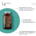 Buy N 14 PULS - High Dose OPC Grape Seed Extract 650mg L-Arginine Black Garlic & Potassium - 120 Vegan Capsules for Blood Pressure Support - Buy Online on GoSupps.com