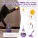 Fostbeen Interactive Cat Toys - Magic Wand Funny Balls & Slow Feeder for Kittens & Cats | Weight Loss & Treat Edition Gift - Buy Online on GoSupps.com