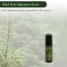 ADK Balsam Cologne Roller .33 oz (10 mL) Natural Hypoallergenic & Clean Perfume for Women & Men with Notes of Cedar Balsam Sweetgrass Adirondack Hops & Musk 0.33 Ounce (Pack of 1) - Buy Online on GoSupps.com