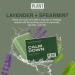 Plant Apothecary Calm Down Moisturizing Shea Butter Soap for Damaged and Dry Skin - Body Soap Bar with Spearmint and Lavender - Natural Ingredients - 5 oz - Buy Online on GoSupps.com