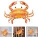 ORFOFE Retro Decor 1Pc orange balloons treadmills home decor ocean ornaments bike Hanging Decor wall hanging Crab pedal Orange 25x15cm - Buy Online on GoSupps.com