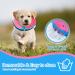 FWLWTWSS Inflatable Protective Collar for Dogs & Cats | Adjustable Velcro Fastener | Leak Protection for Recovery After Operations (Pink Size M: 20.3cm-30.5cm) - Buy Online on GoSupps.com