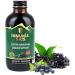 Immunia KIDS - Elderberry Supplement for Kids. Canadian Elderberry & Wild blueberry concentrated. Immune support. Delicious taste. No sugar added. Made in Canada with fruits from Canada (3 bottles) 120 ml (Pack of 3) - Buy Online on GoSupps.com