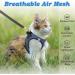 Escape Proof Cat Harness & Lead - Adjustable Reflective Kitten Vest for Outdoor Walking - Comfortable & Easy to Control - Blue XS - Buy Online on GoSupps.com