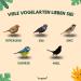 Torgenn Mealworms 2kg - Nutrient-Rich 100% Natural Wild Bird & Fish Food | GVO-Free Additive-Free - Buy Online on GoSupps.com