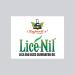 Lice-Nil Natural Head Lice Treatment Oil Kit - Kills Super Lice & Eggs - 4 FL OZ - Non Toxic & Pesticide Free - Complete Lice Eliminator Kit - Buy Online on GoSupps.com