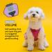 Groomers World - Firm Flexi Slicker Brush - Suitable for Poodle Doodle Bichon Dog Breeds - Small - Buy Online on GoSupps.com