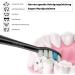L chen Standard Brush Head for Electric Toothbrushes - S131 Black 4 Pack | Optimal Cleaning & Compatibility - Buy Online on GoSupps.com