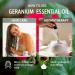 Geranium Essential Oil 4 Fl Oz and Blueberry Essential Oil 4 Fl Oz - ZODION Geranium & Blueberry Oil for Diffuser Aromatherapy Home Fragrance Skin & Hair Care DIY Candle & Soap Making Yoga - Buy Online on GoSupps.com