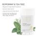 Peppermint + Tea Tree Deodorant Women Men Aluminum Free Natural Odor Protection 2 Pack Peppermint 2.65 Ounce (Pack of 2) - Buy Online on GoSupps.com