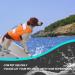 Buy Cit toile Adjustable Dog Life Jacket - Buoyant Sports Swim Vest for Small Medium & Large Dogs - Ideal for Safe Swimming - Buy Online on GoSupps.com