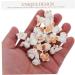 TEHAUX 40 Pcs Artificial Popcorn Resin Candy Material White - Buy Online on GoSupps.com