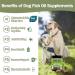 Omega 3 for Dogs - Salmon Oil for Dogs Skin and Coat Supplement with EPA & DHA Fatty Acids - Dog Itch & Allergy Relief Anti Shedding Shiny Coats - Promotes Heart Hip & Joint Support - 180 Counts - Buy Online on GoSupps.com
