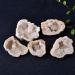 Natural Crystal Rough WTHOME 1PC Natural Crystal Agate Geode Cutting Crystal Cluster Stone Rock Specimen Quartz DIY Home Decoration 3-5cm Natural Agate - Buy Online on GoSupps.com