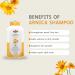OTACI Herbal Strengthening & Volumizing Shampoo - Arnica Horsetail Ginseng - Paraben & Silicone Free - 13.5 Fl Oz for Weak Fine Hair - Buy Online on GoSupps.com