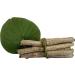 Giloye/Giloy Fresh Plant 20 Stems (6 inch Each) - Buy Online on GoSupps.com