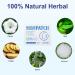 Motion Sickness Patches - Fast-Acting Nausea Relief for Travel - Natural Herbal Formula - Non-Drowsy - Waterproof - 10 Count - Cruise Essentials - Buy Online on GoSupps.com
