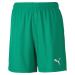 PUMA Boys teamGOAL 23 knit Shorts jr Shorts 140 Pepper Green