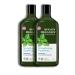 Avalon Organics Strengthening Peppermint Shampoo 11 oz. (Pack of 3) - Nourishing Hair Care Set - Buy Online on GoSupps.com