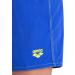ARENA Boys Bywayx Youth R Swim Trunks 152 - Neon Blue & Soft Green | Best Swimwear for Kids - Buy Online on GoSupps.com