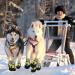 Reestboo Paw Protection Dog Boots - 4 Slide Shoes with Reflective Straps & Velcro for Large Dogs | Outdoor Snowshoes (XL Yellow) - Buy Online on GoSupps.com
