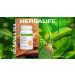 HERBALIFE N-R-G Nature's Raw Guarana Tea: Nature's Raw Guarana (2.1 oz) Boosts The Feeling of Energy Naturally Flavored Instant 0 Calories - Buy Online on GoSupps.com