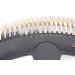 27 Colors Teeth Whitening Shade Guide - Professional Dental Bleaching Chart for Home & Salon Use - Buy Online on GoSupps.com