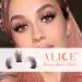 ALICE C Wispy Brown False Eyelashes - 14 Pairs DIY Lash Clusters for Fluffy Volume and Russian Strip Lash Extensions - Buy Online on GoSupps.com