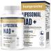 Liposomal NAD+ 500mg with TMG 250mg Softgels Actual NAD+ Supplement for Cellular Repair & Energy Metabolism(60 Count) 60 Count (Pack of 1)