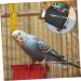 DOITOOL 4 Pcs Birdcage Brush Bird Cage Scoop Shovel Bird Brush Parrot Cage Brush Bamboo Cage Cleaner 7x9cmx2pcs Assorted Colorx2pcs - Buy Online on GoSupps.com