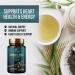 Green Tea Extract 98% Standardized EGCG - Natural Energy & Heart Support - 3X Strength Green Tea Pills - Antioxidant Health Supplement - 240 Capsules - Buy Online on GoSupps.com