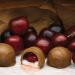Philadelphia Candies Milk Chocolate Covered Cordial Cherries - 1 lb Pack - Buy Online on GoSupps.com