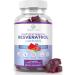 Sugar-Free Resveratrol Gummies - Potent 1500mg Resveratrol Supplement to Support Digestive & Immune Health - Resveratrol Supplement for Antioxidant Support, Anti-Aging, Heart & Brain Wellness 60 Ct