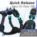 Buy Eagloo Anti-Train Dog Harness for Small Dogs - Adjustable Durable Reflective Strips for Walking & Jogging - XS Blue (1 Pack) - Buy Online on GoSupps.com