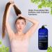 Majestic Pure Rosemary Hair Loss Shampoo - 16 fl oz | Promotes Hair Growth and Strength - Buy Online on GoSupps.com